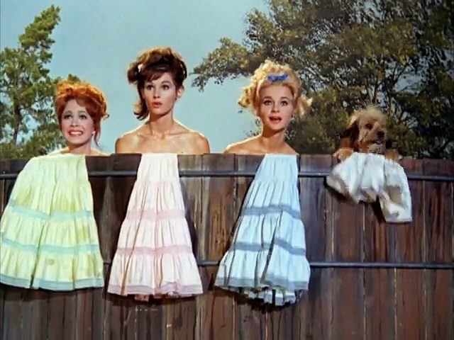 Petticoat Junction S3 E22 – Jury at the Shady Rest