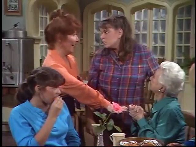 The Facts of Life S3 E08