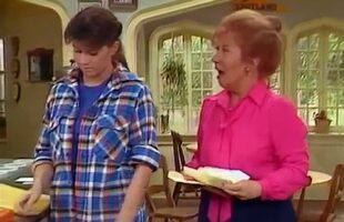 The Facts of Life S4 E21