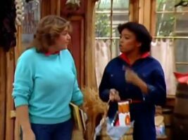 The Facts of Life S5 E04