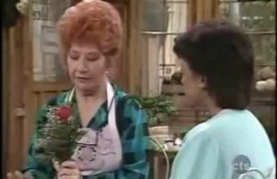 The Facts of Life S6 E11