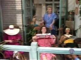 The Facts of Life S9 E02