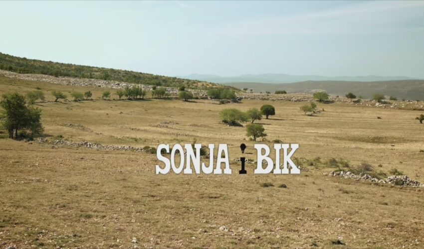 Sonja i bik (2012) Ceo Film HD