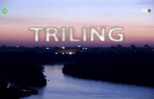 Triling (2005) Ceo Film HD